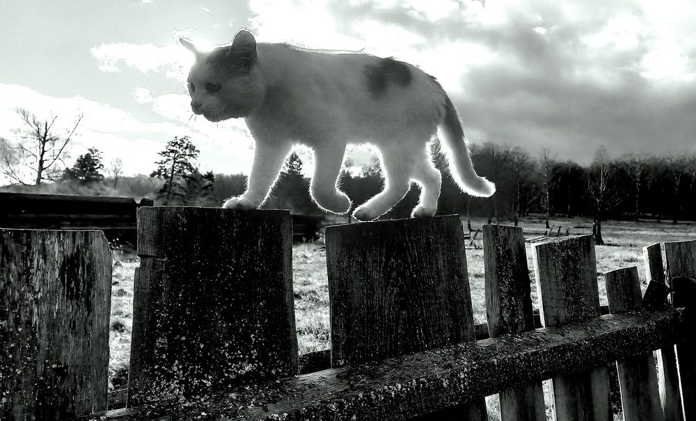 Photograph by Назмутдинова Сауия