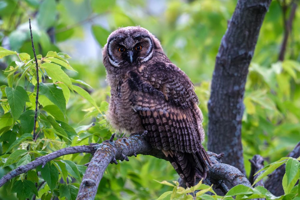 Photograph by Бодрягин Виталий