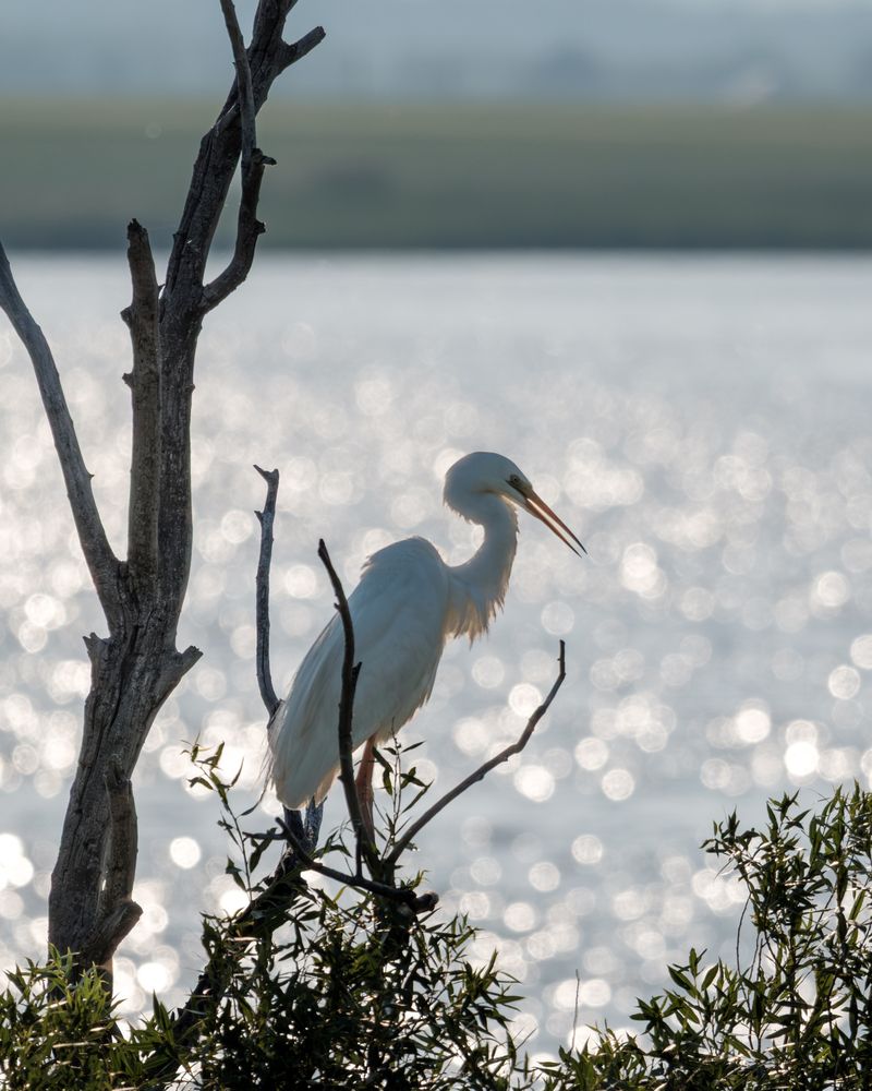 Photograph by Бодрягин Виталий