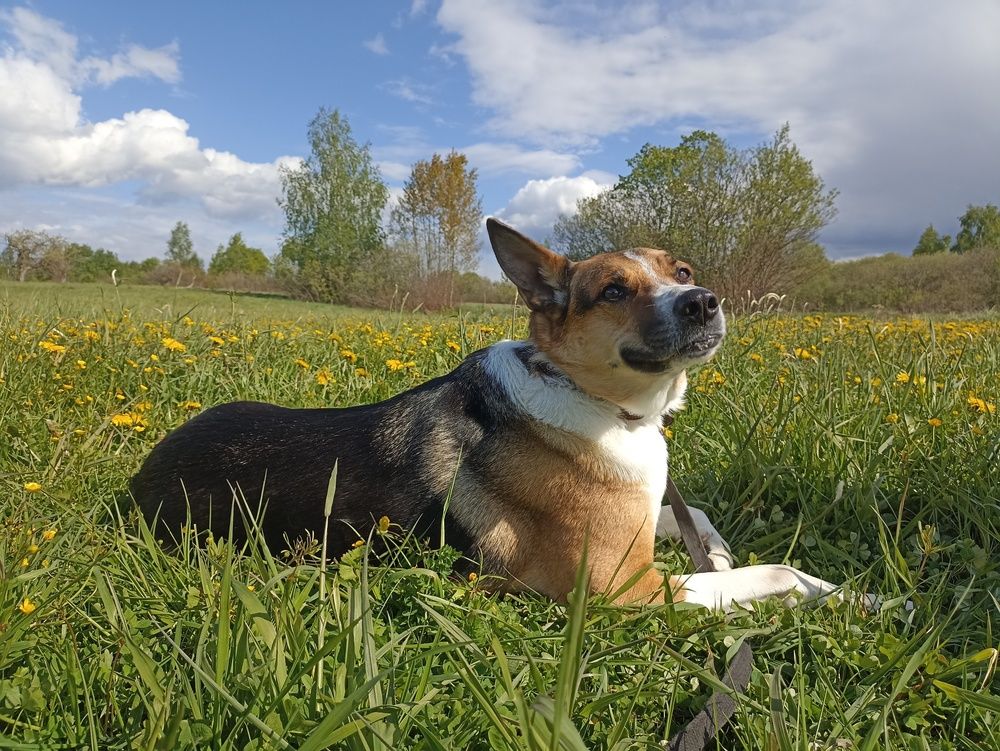 Photograph by Юлия