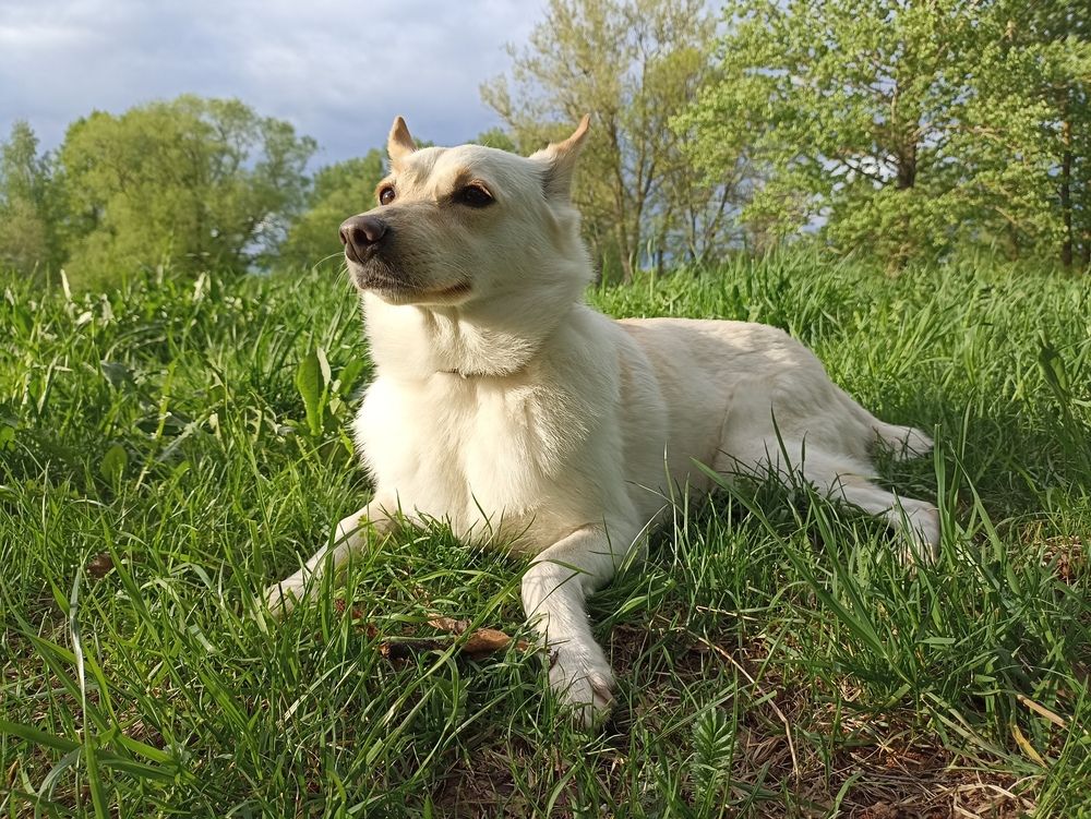 Photograph by Юлия