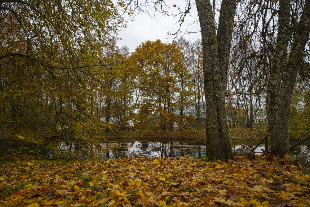 Photograph by Александр Шульга