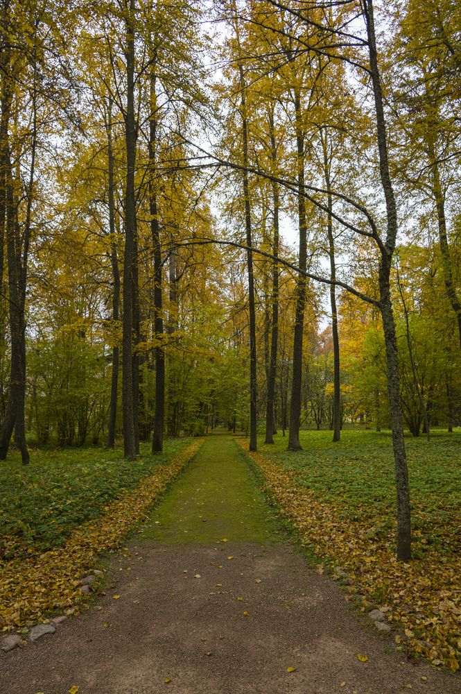 Photograph by Александр Шульга