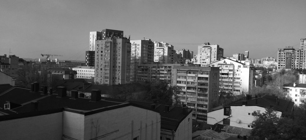 Photo #12803043