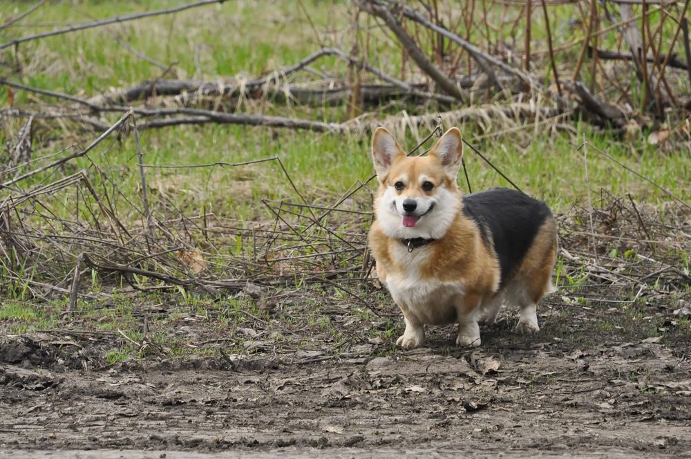 На прогулке