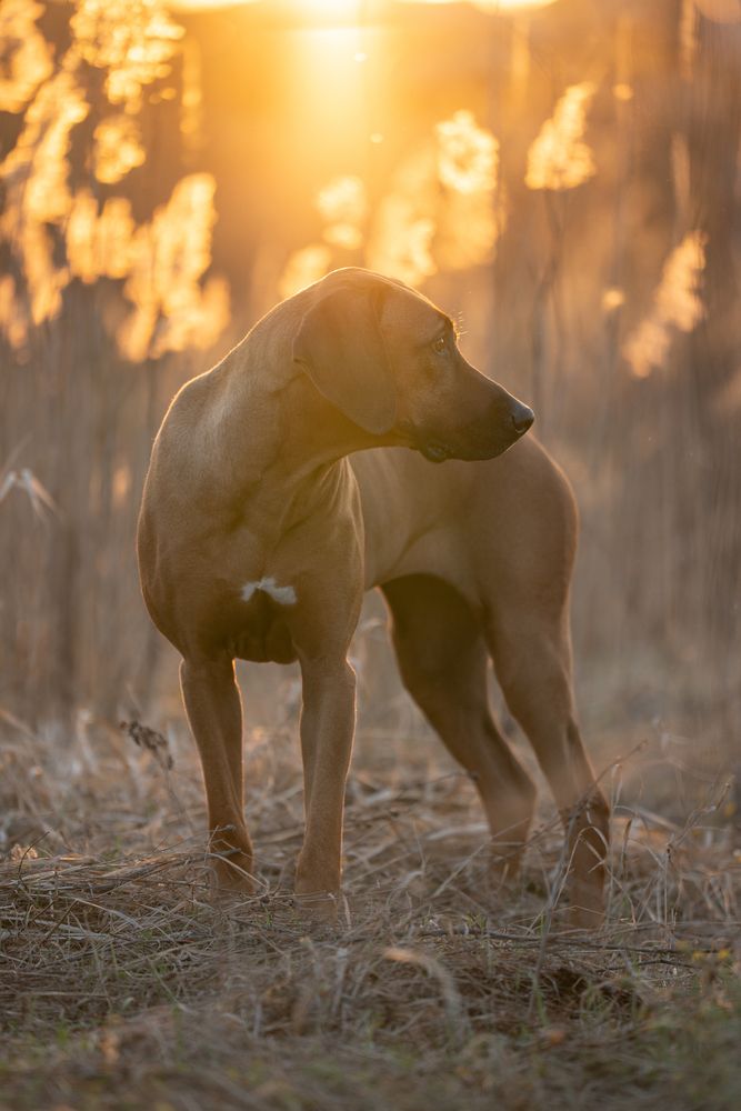 Photograph by Наталья Авдонина