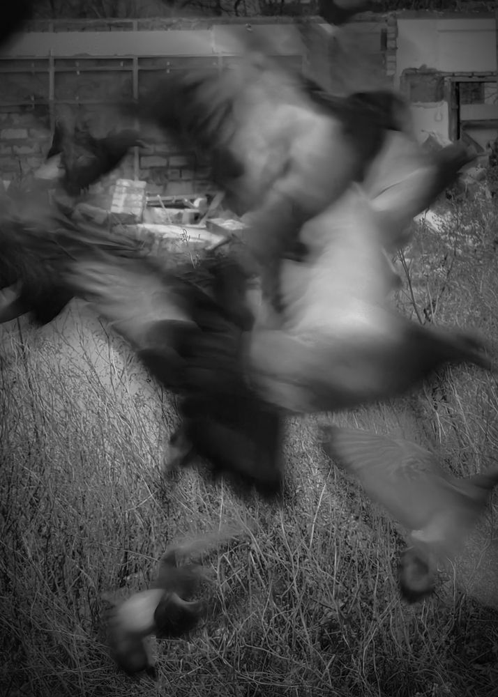 Фотография автора Olga Shchetinina