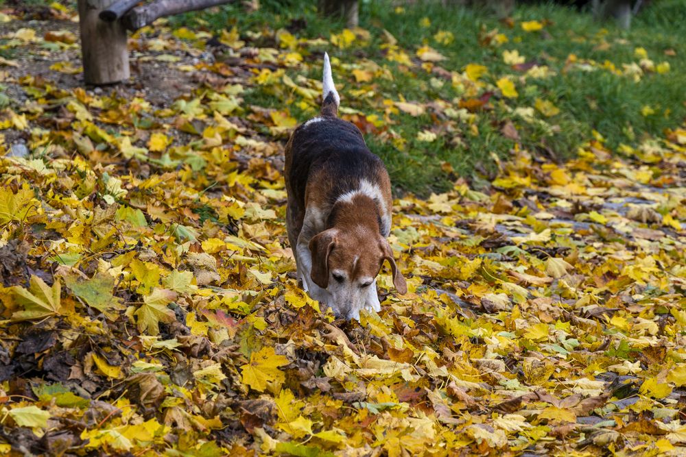 Photograph by Александр Шульга