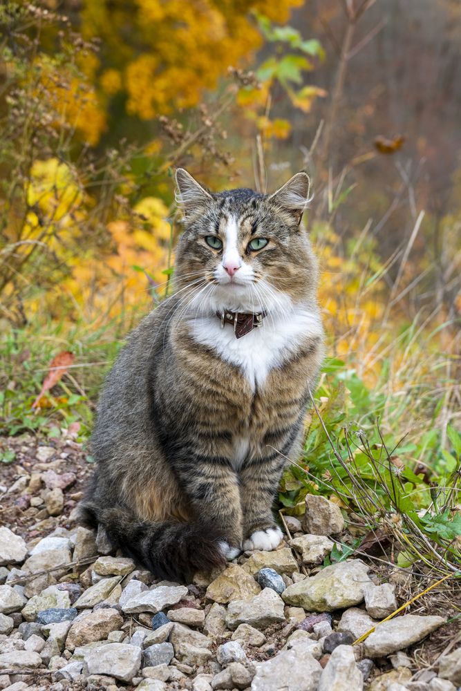 Photograph by Александр Шульга