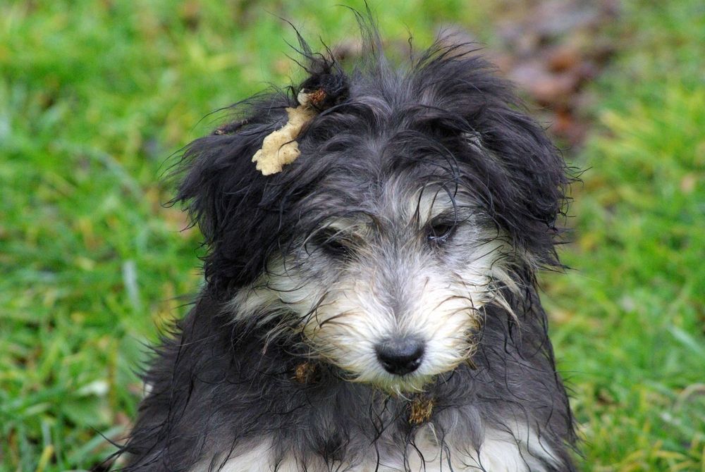 Photograph by Андрей Любимов