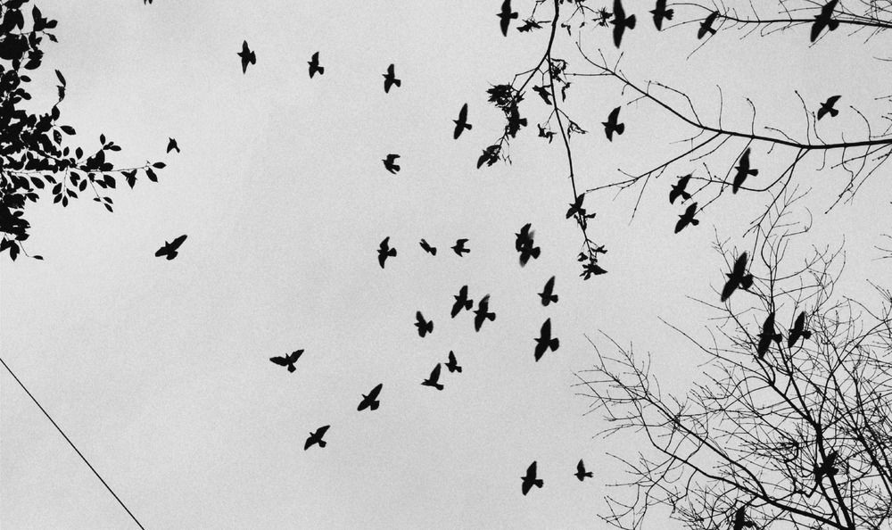 Photograph by Анастасия Юрьева
