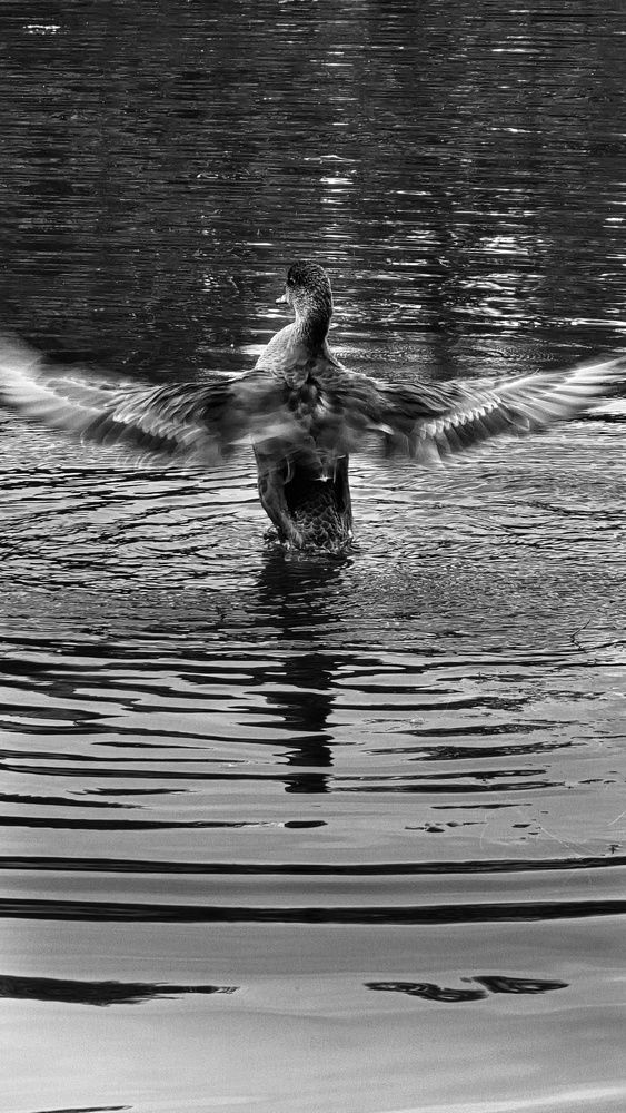 Photograph by Наталия Короленко