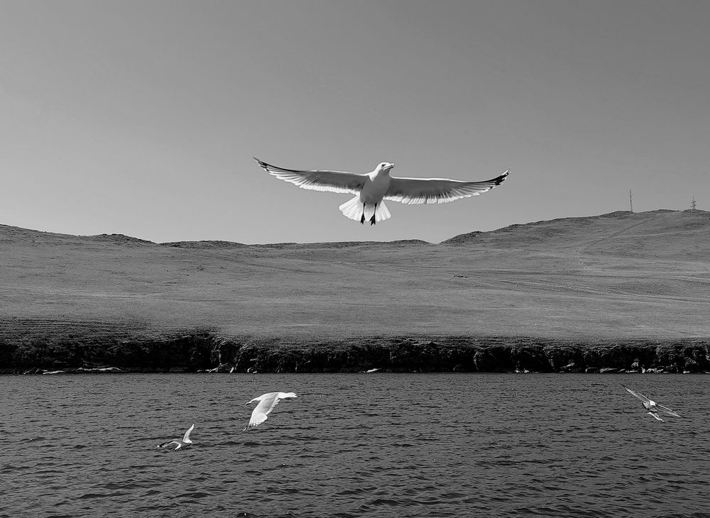 Photograph by Алёна Гильмуллина