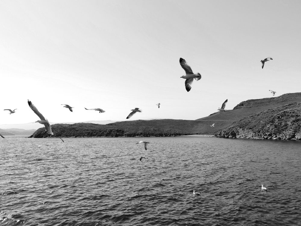 Photograph by Алёна Гильмуллина