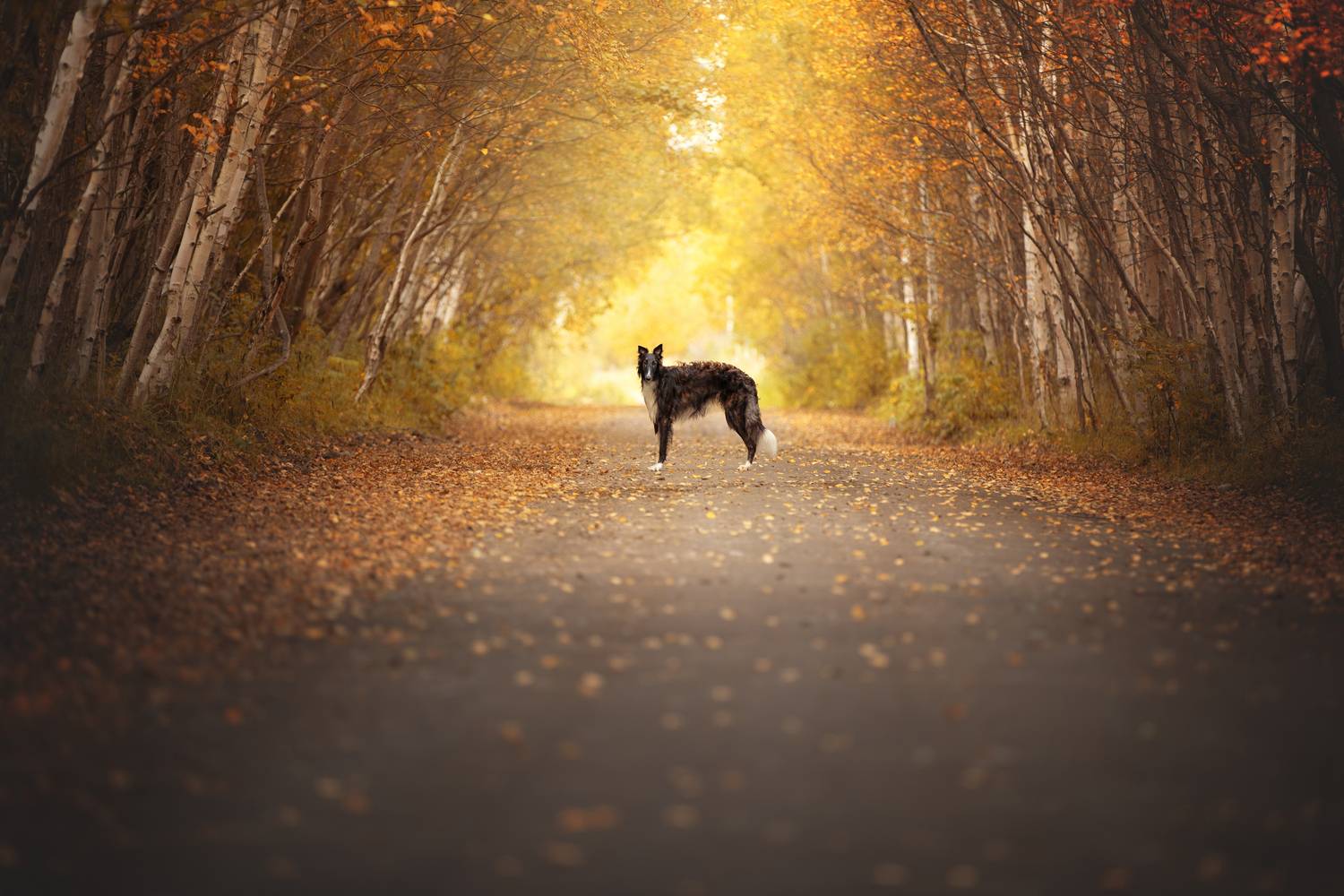 Фотография #12803156