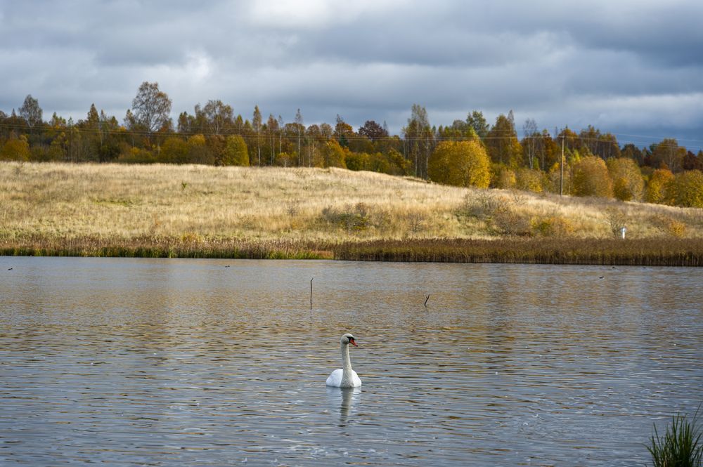 Photograph by Александр Шульга