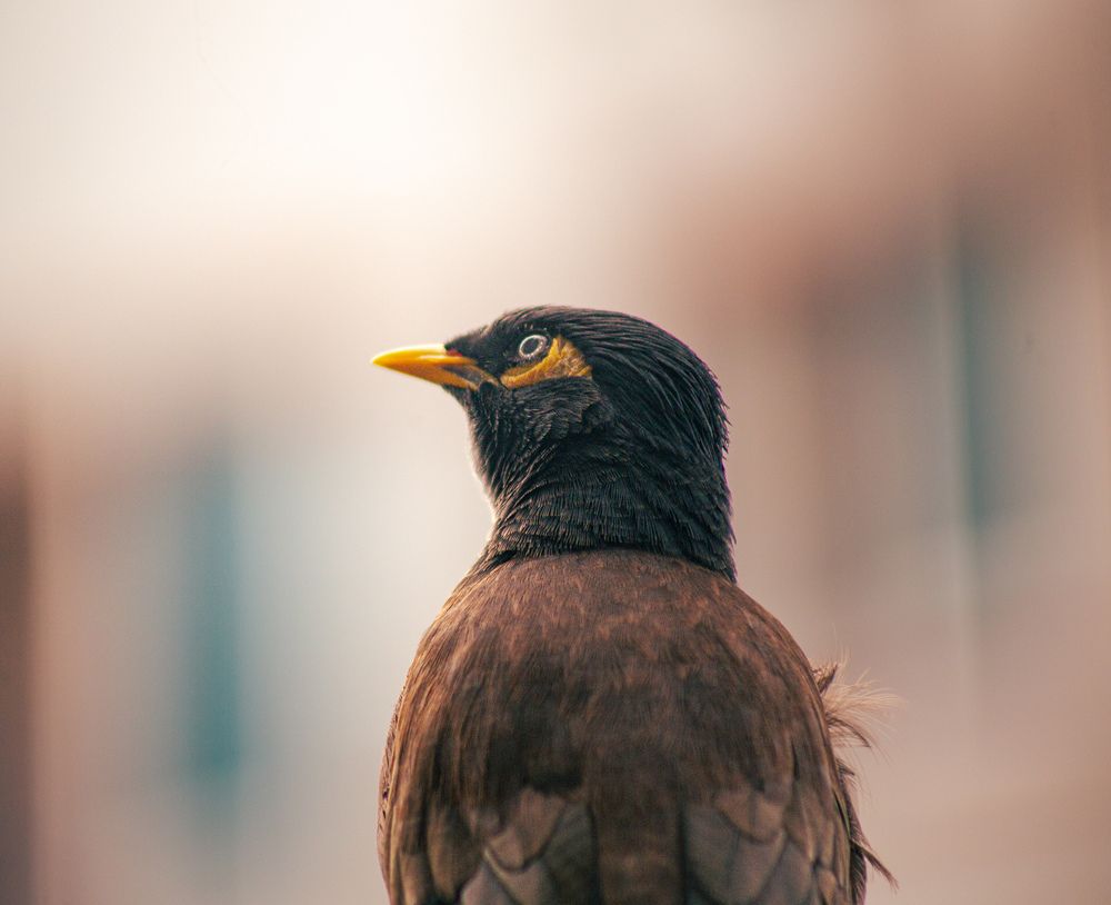 Photograph by ASHFAQUL MAJID