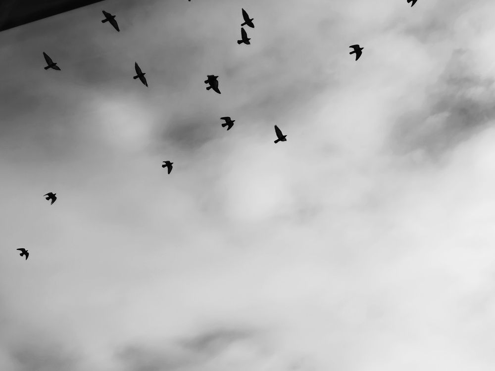 Photograph by Анастасия Юрьева