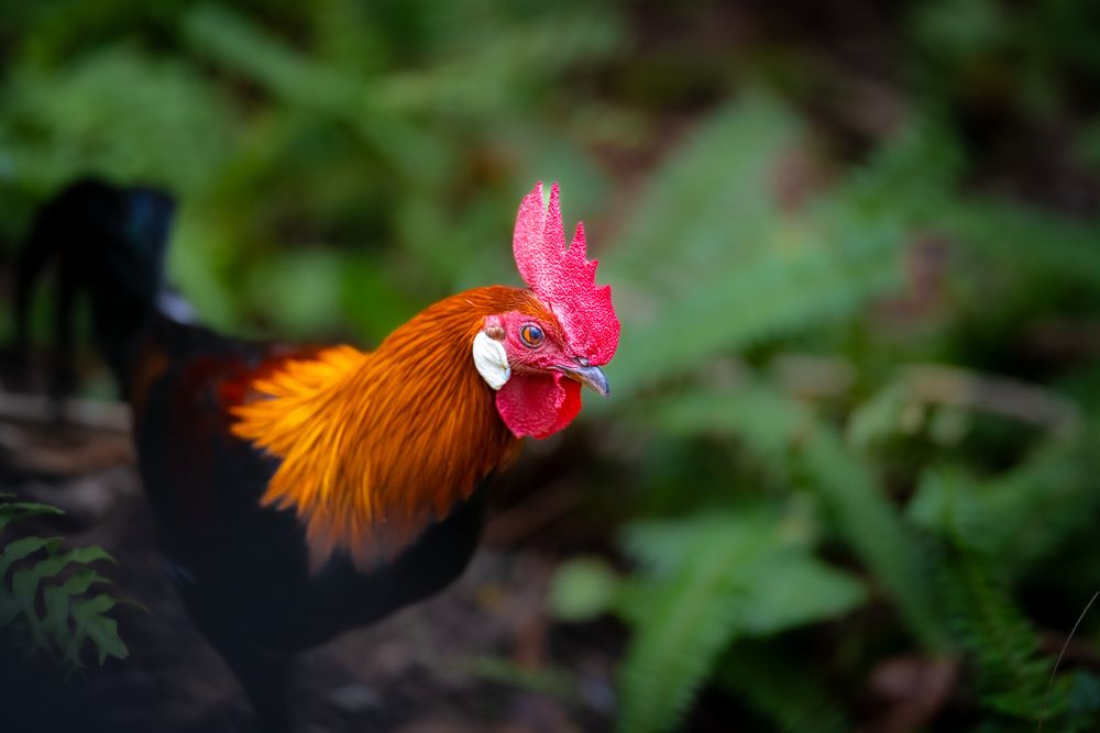 Photograph by Николай Фонарёв