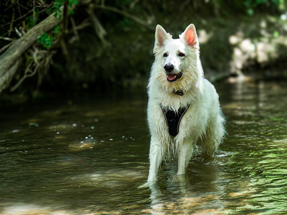 Photograph by Сергей Шишмарин