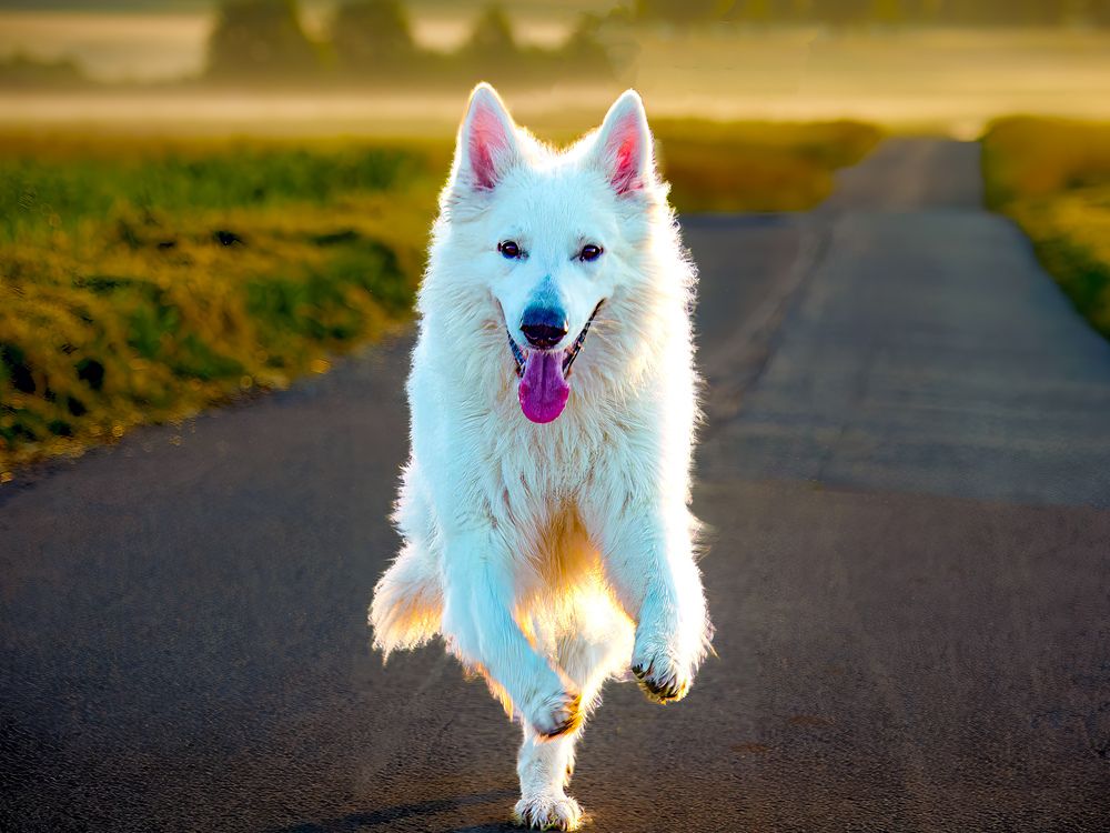 Photograph by Сергей Шишмарин