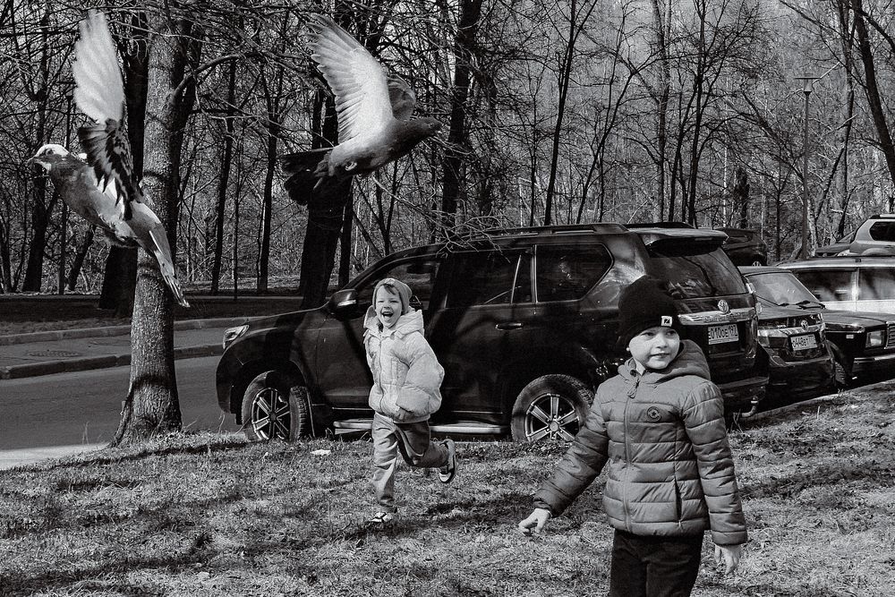 Фотография автора Елена Чулюнина