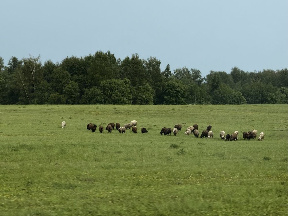 Photograph by Наталья Сережко
