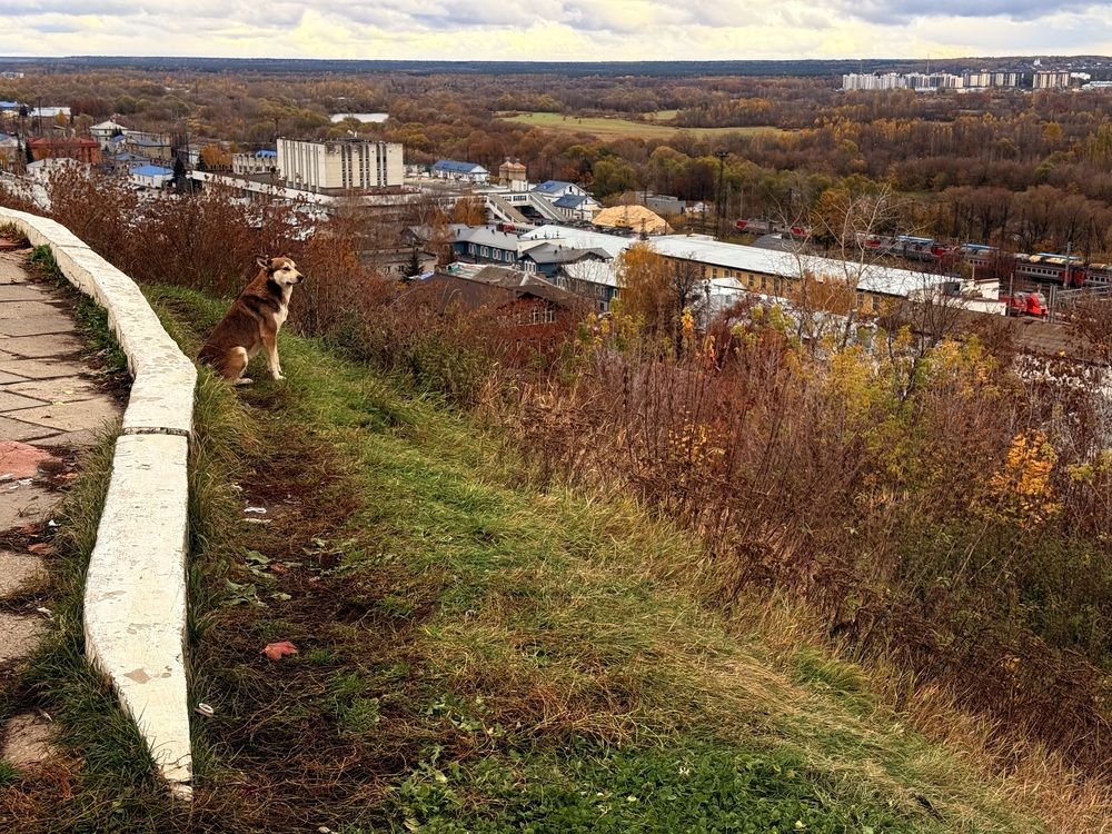 Photograph by Наталья Сережко