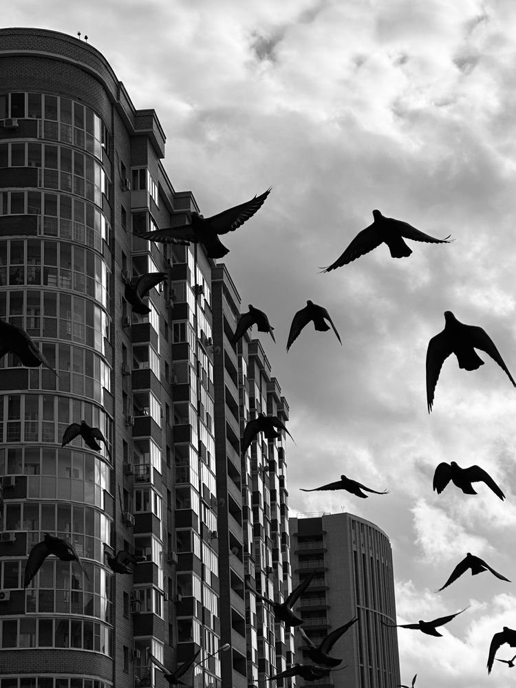 Photograph by Ксения Гулькова