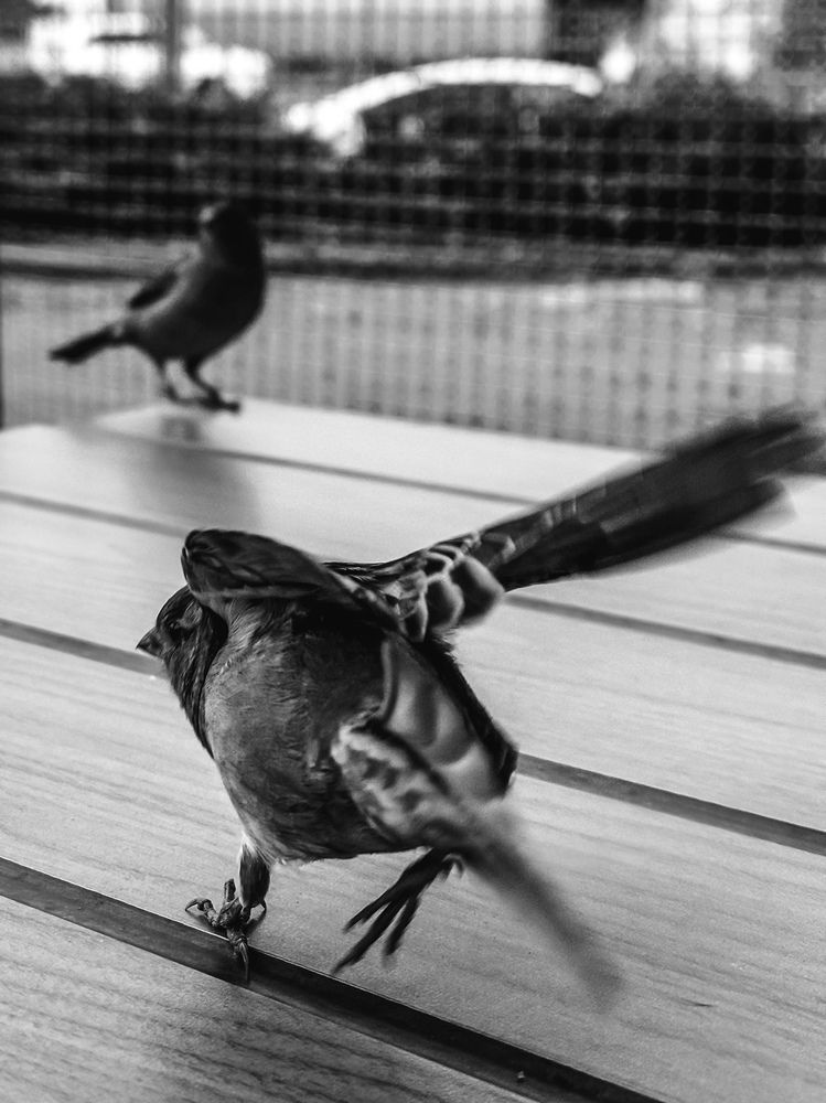 Photograph by Ксения Гулькова