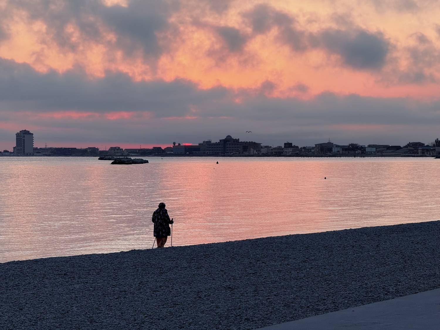 Photo #12803264