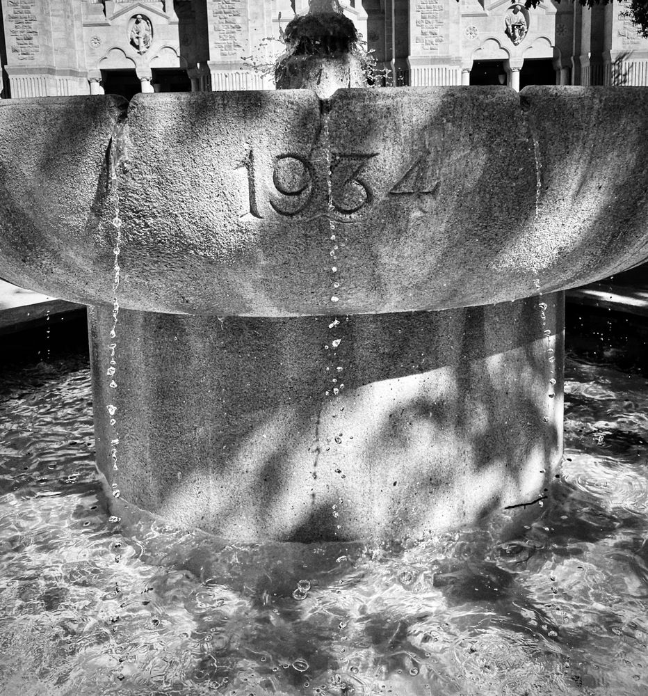 Фотография автора Татьяна Мичу-Николаевич