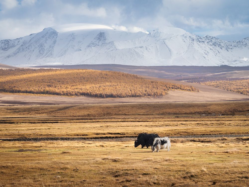 Photograph by Леонтьев Константин