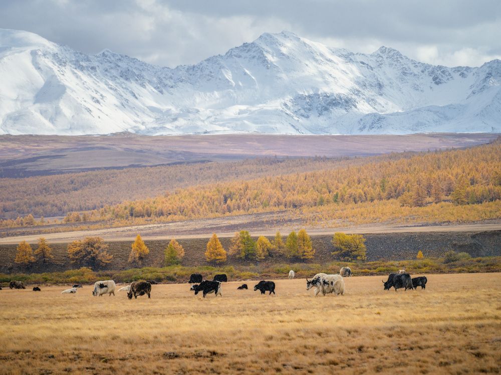 Photograph by Леонтьев Константин