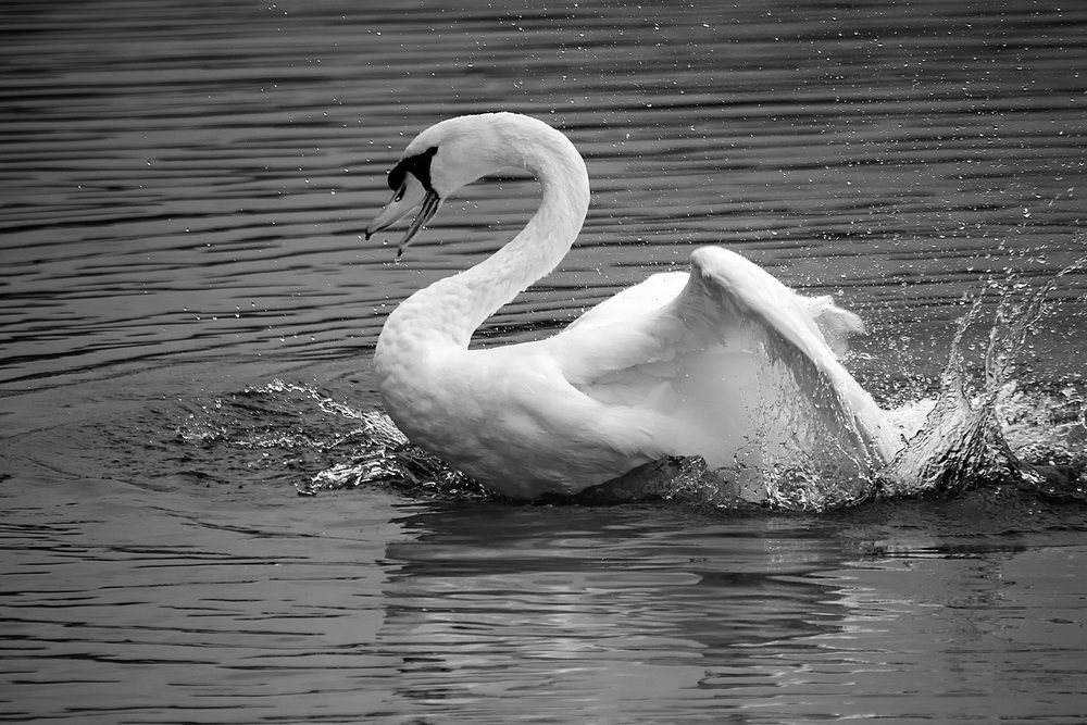 Фотография автора Александр