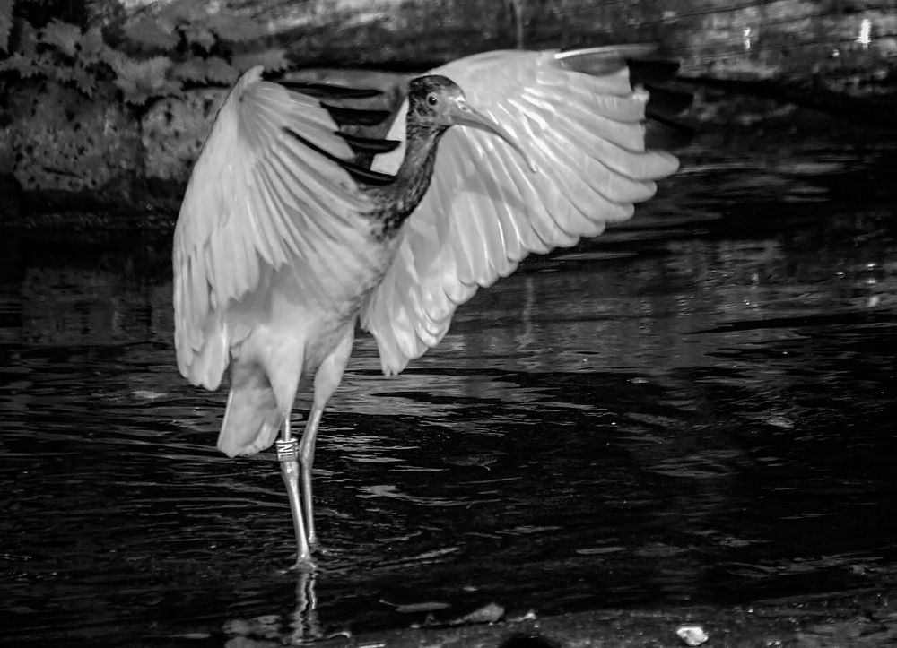 Фотография автора Александр
