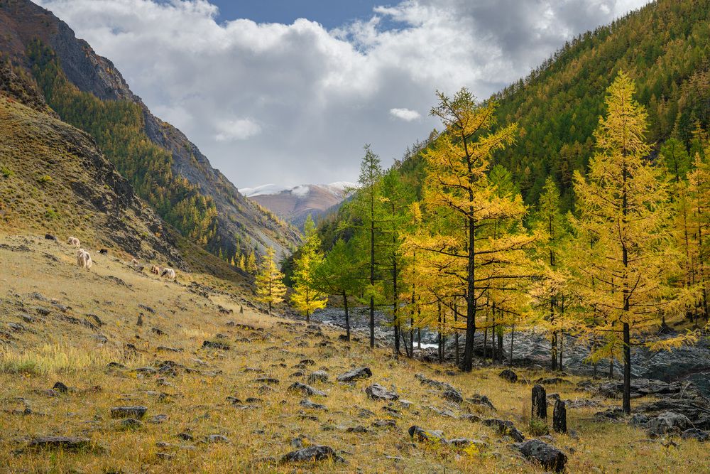 Photograph by Леонтьев Константин