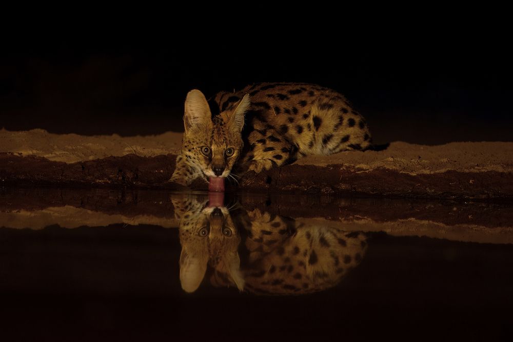Photograph by Joyoti Basu
