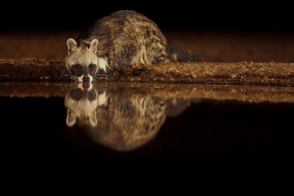 Photograph by Joyoti Basu
