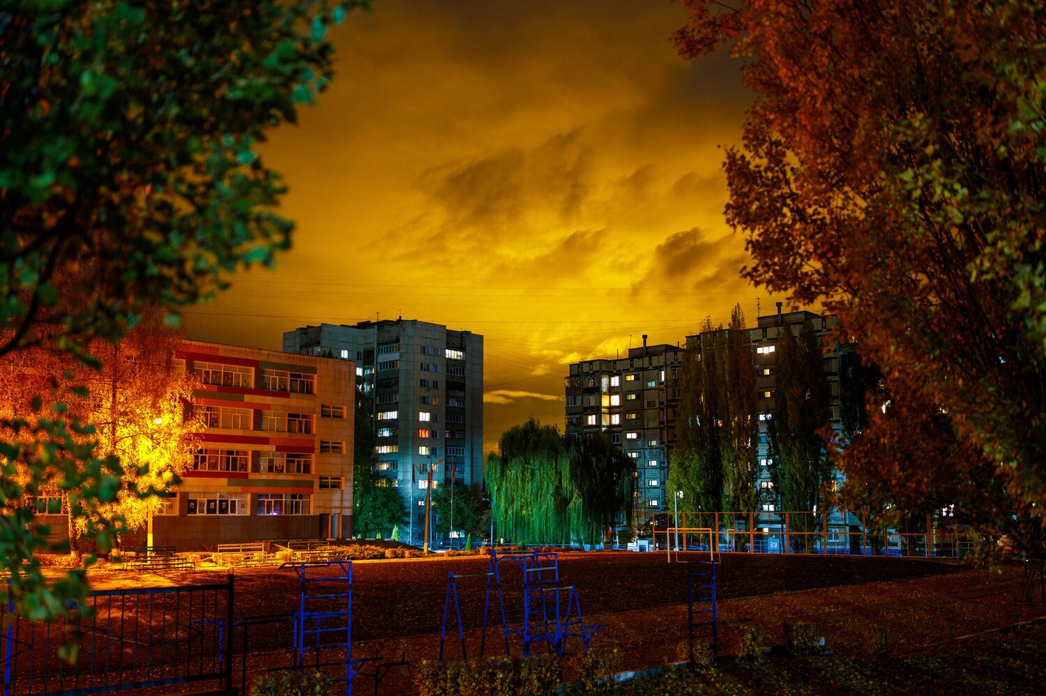 Photo #12803351