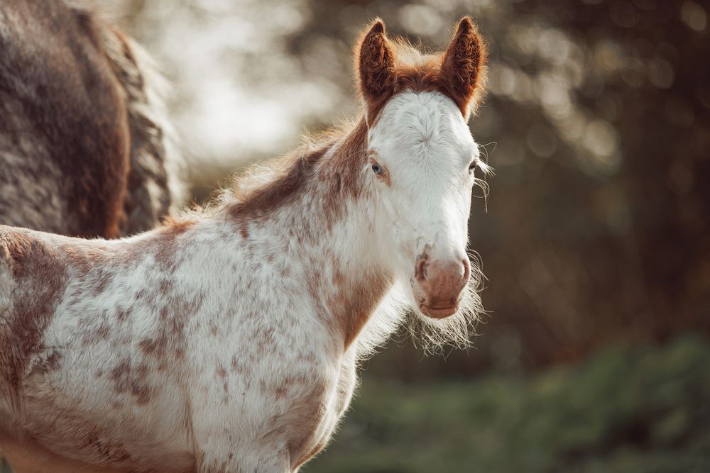 Photograph by Онучина Юлия