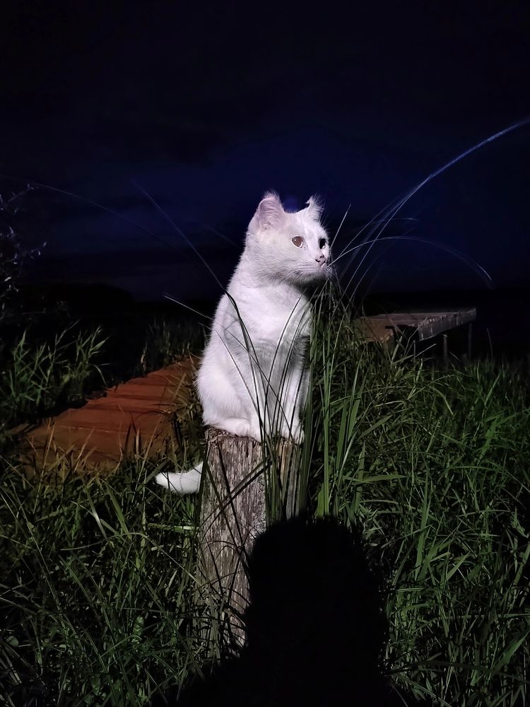 Photograph by Даниил Зайцев
