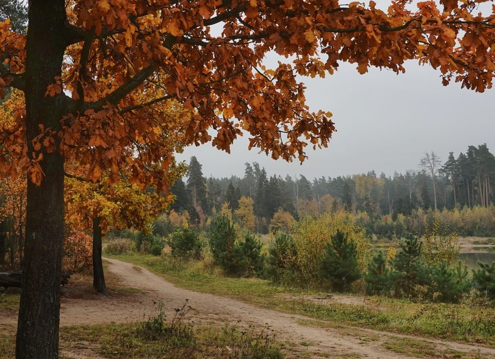 Photograph by Ионова Татьяна