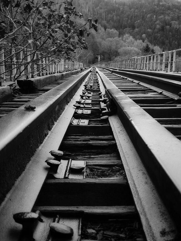 Photograph by Tatyana Migalik