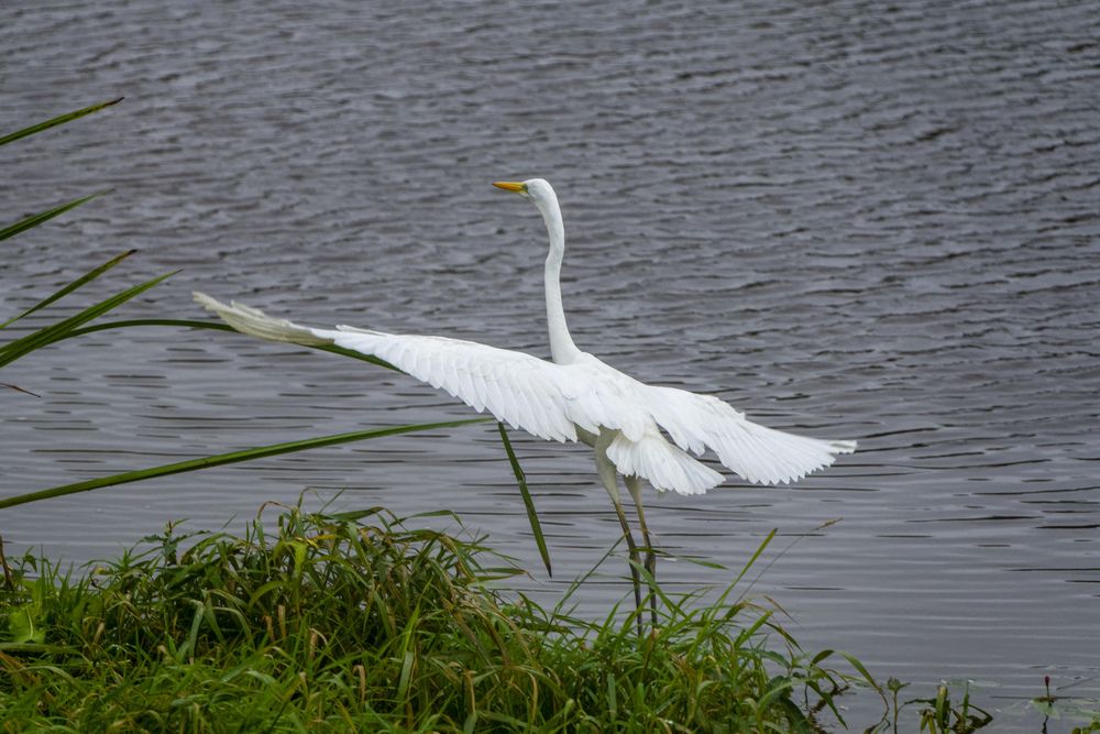 Photograph by Александр Шульга