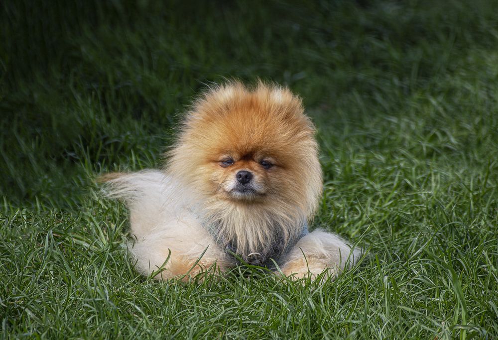 Photograph by Leanid Kulpo