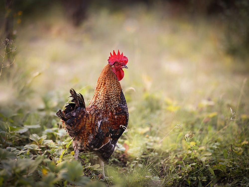 Photograph by Ольга Зиброва