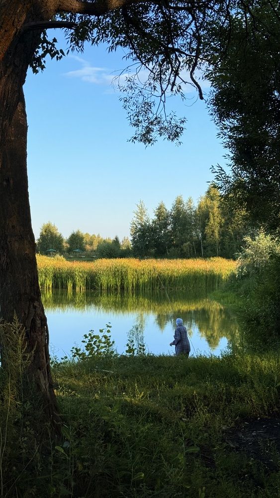 Photograph by Елена Гущина