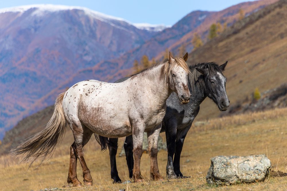 Photograph by Tatyana