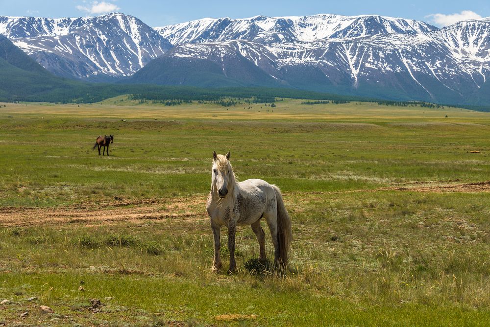 Photograph by Tatyana